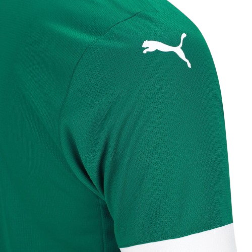 Camisa Palmeiras Home 25/26 - Puma Torcedor Masculina