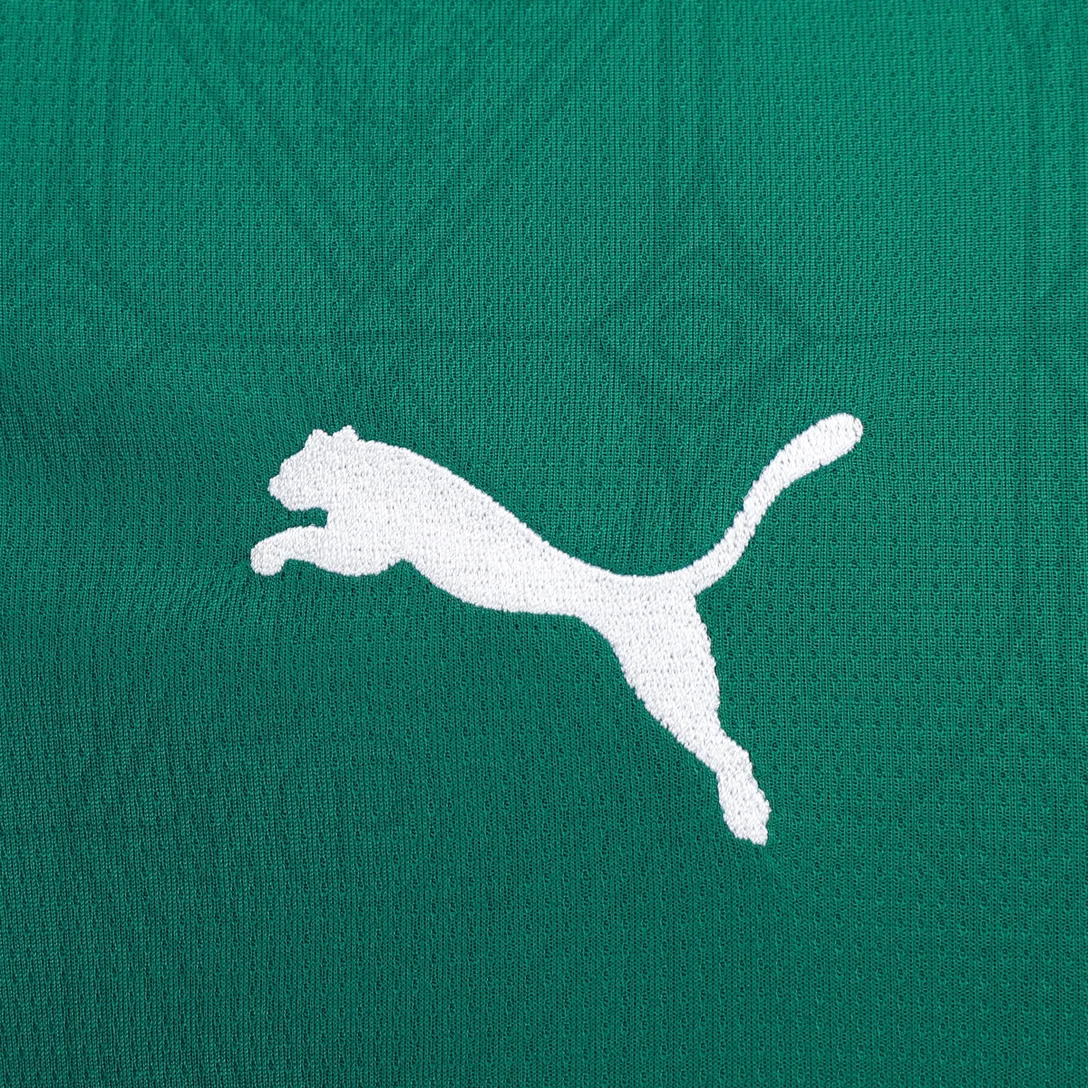 Camisa Palmeiras 25/26 Home - Torcedor Masculina