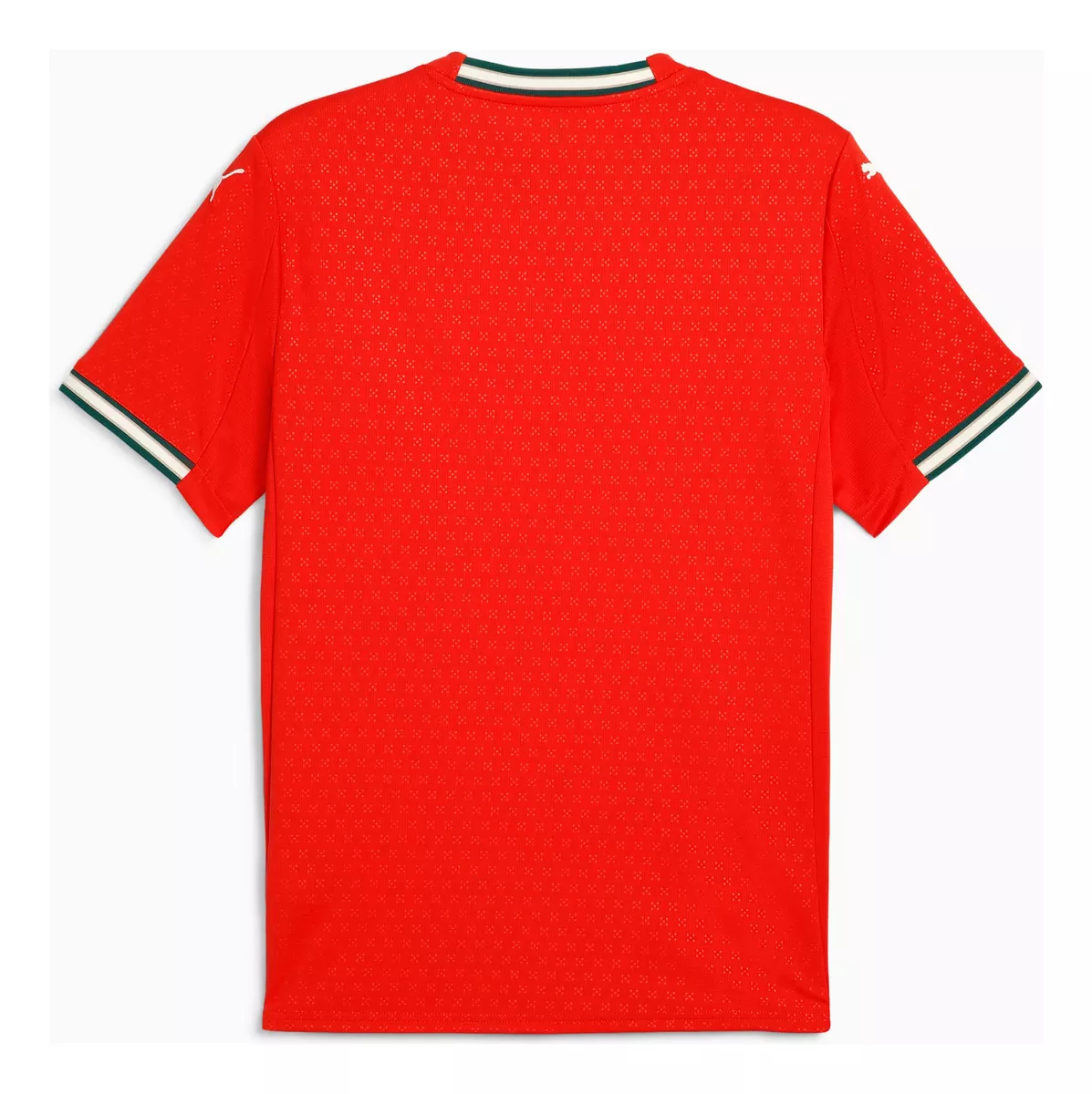 Camisa Portugal Home 25/26 - Puma Versão Torcedor Masculina