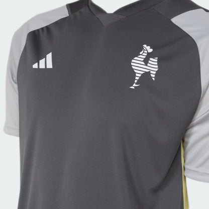 Camisa Atlético Mineiro Treino Cinza Escura 24/25 - Versão Torcedor