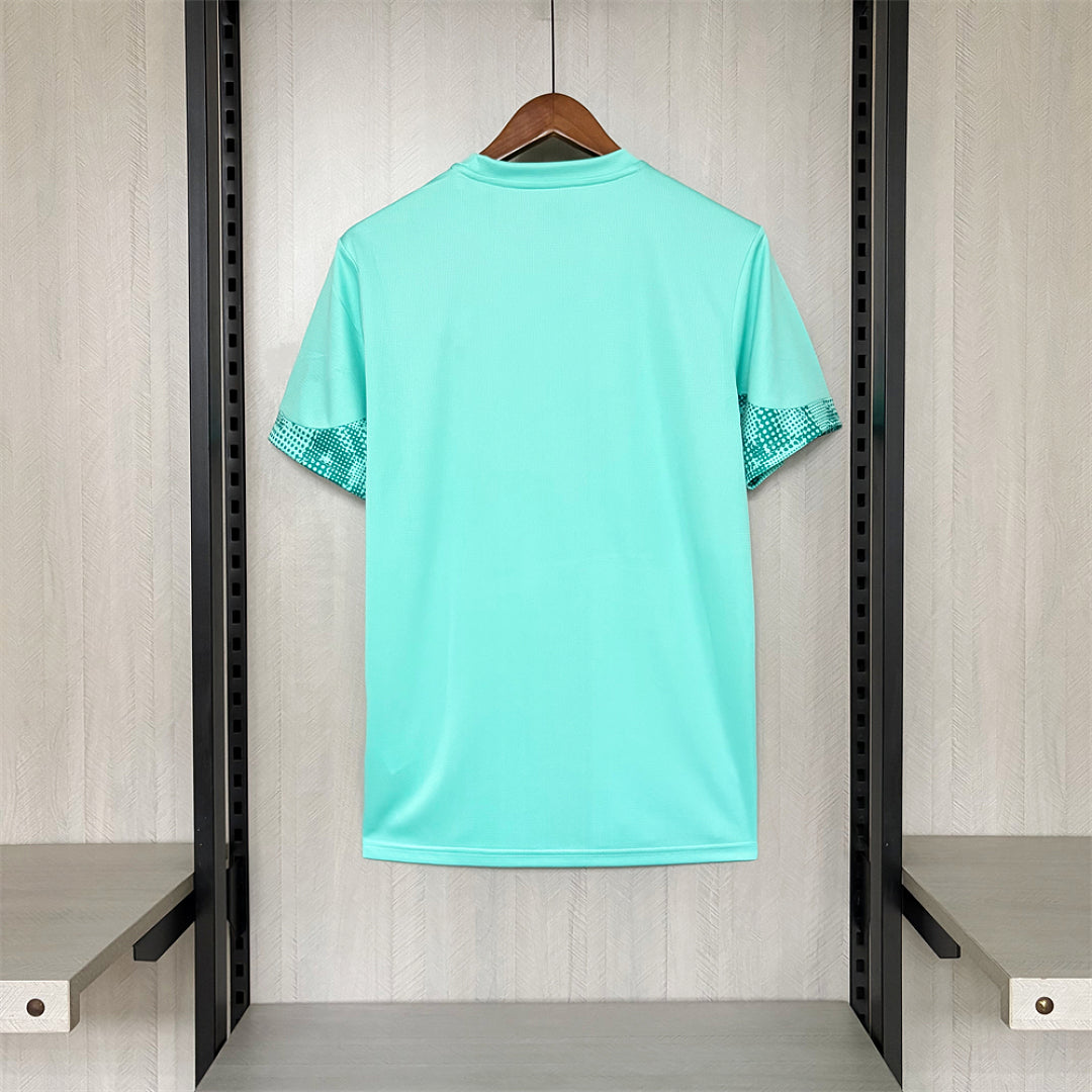 Camisa Palmeiras Goleiro 26/27 - Puma Torcedor Masculina