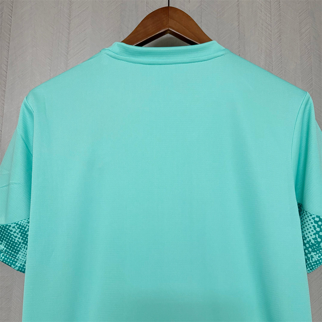 Camisa Palmeiras Goleiro 26/27 - Puma Torcedor Masculina