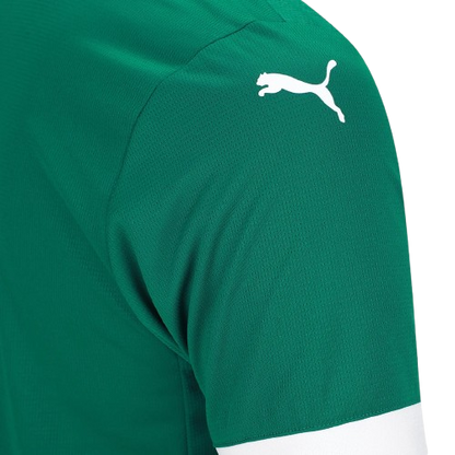 Camisa Palmeiras Home 25/26 - Puma Torcedor Masculina