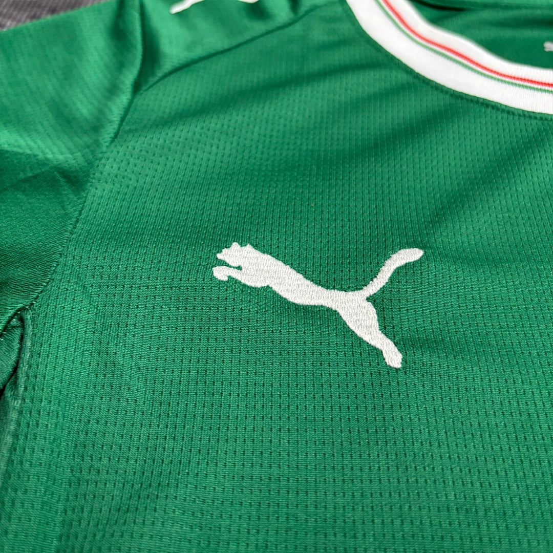 Kit Infantil Palmeiras Home 26/27